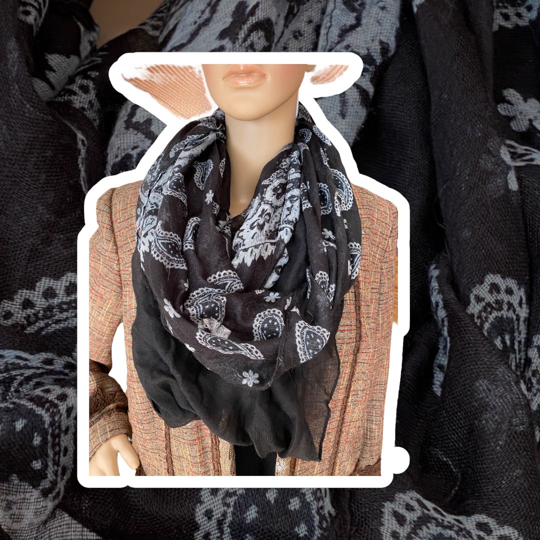 Capelli of New York 2 Pack Loop Scarves
