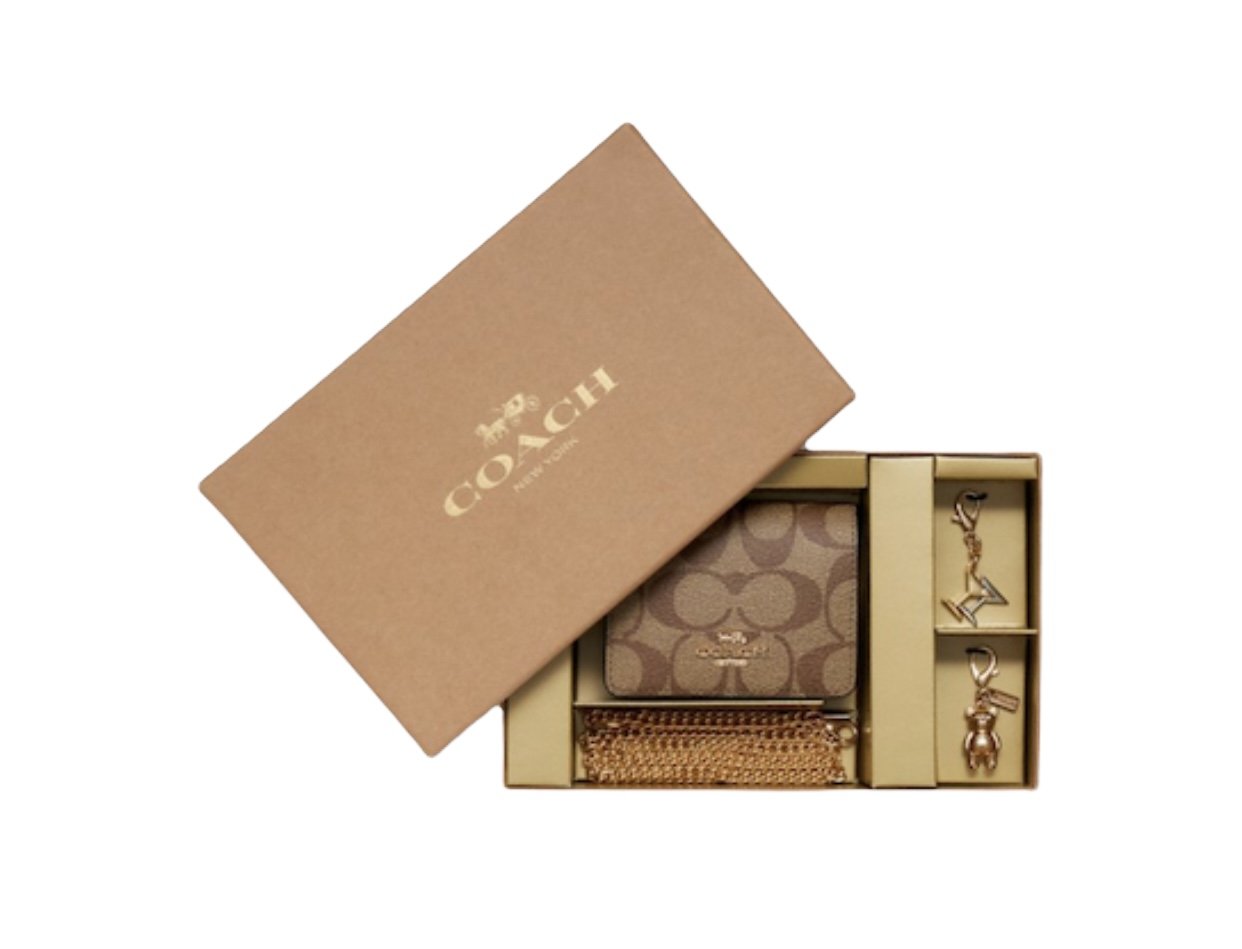 Coach Boxed Mini Wallet On A Chain In Blocked Signature Canvas