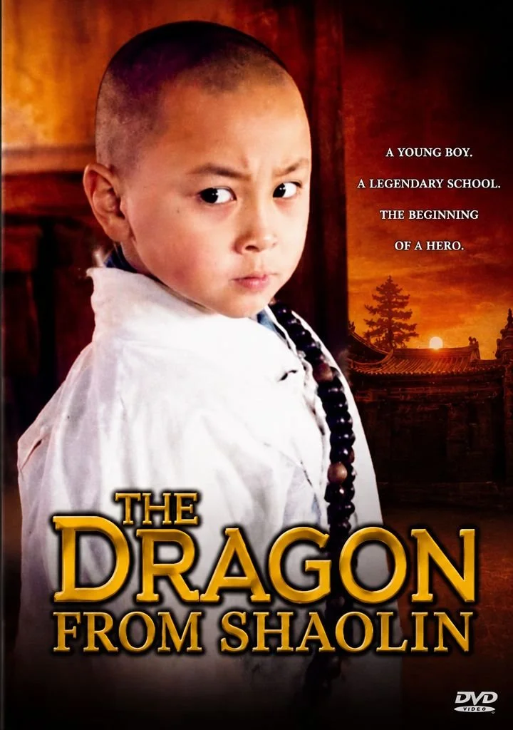 The Dragon From Shaolin 1996 DVD-R | Yuen Biao Kung Fu Film DVD cover