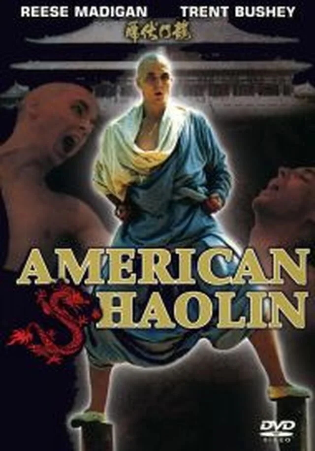American Shaolin (a.k.a King of the Kickboxers 2) Dvd DVD cover