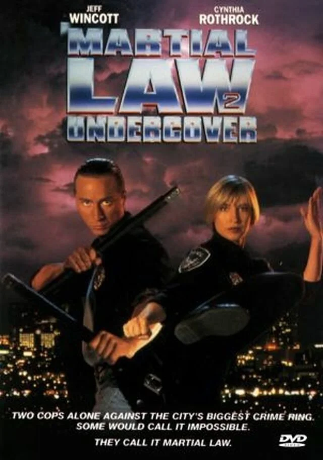 Martial Law 2: Undercover DVD DVD cover
