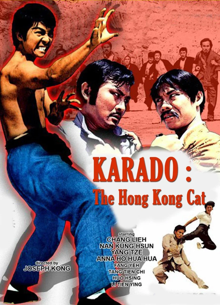 Karado The Hong Kong Cat (1973) Kung Fu Martial Arts Classic Film – Cheung Nick – Rare Cult Cinema M DVD cover