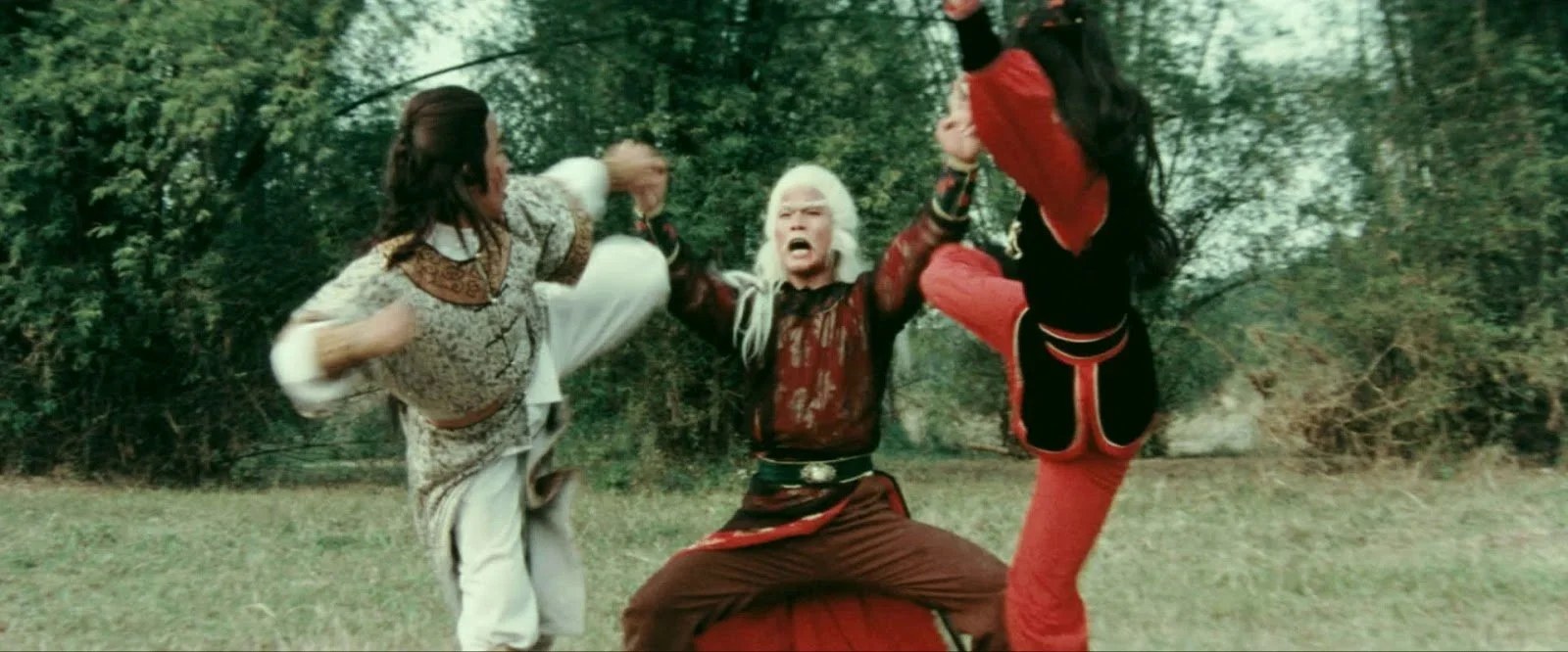 The Leg Fighters (1980) Collector's Edition, gallery image 3