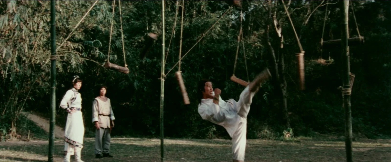 The Leg Fighters (1980) Collector's Edition, gallery image 7