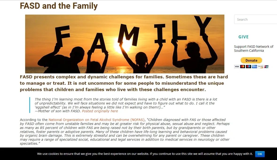 Web page graphic for a family-focused resource.