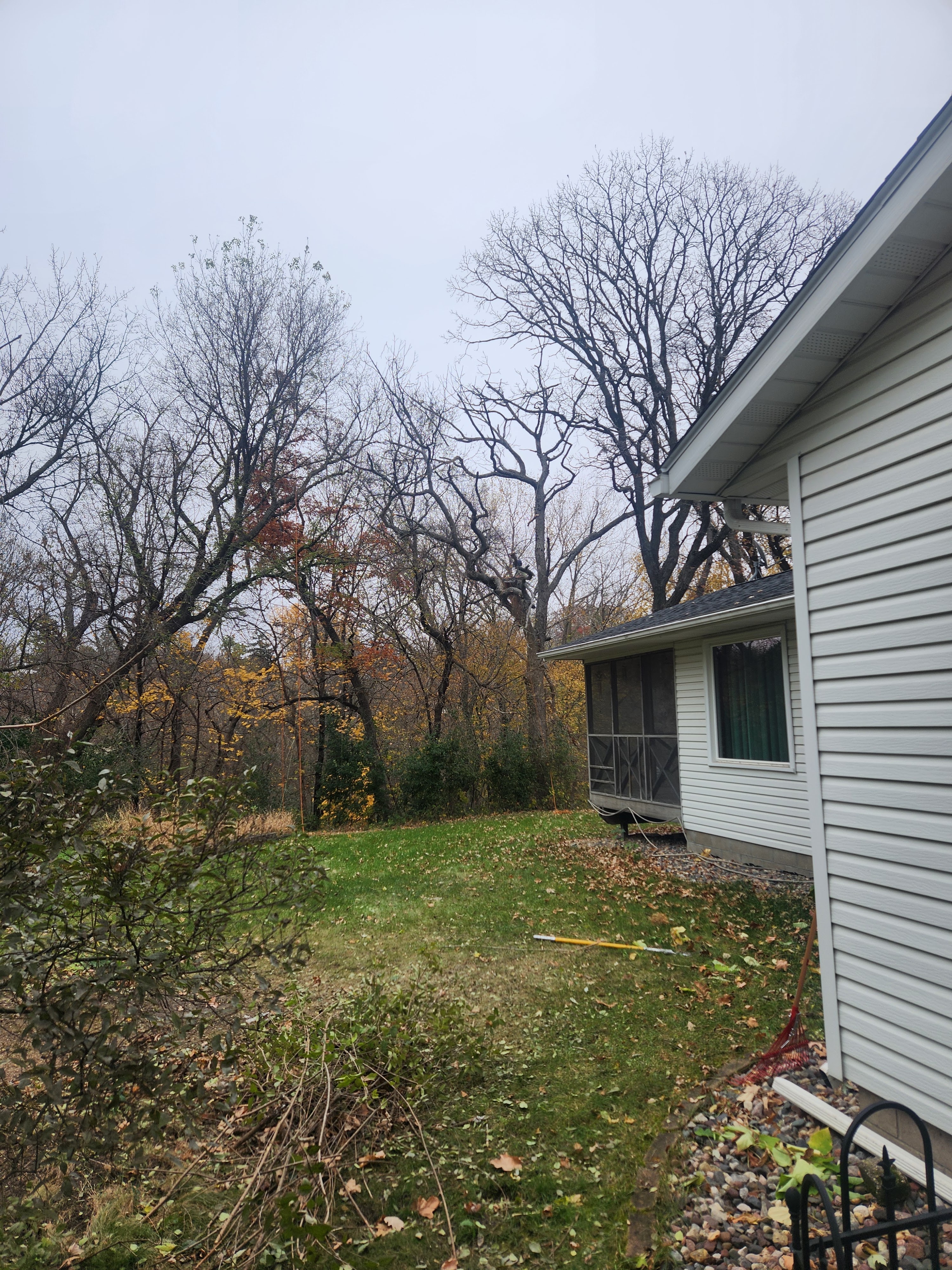 Tree climber working beside a residential home