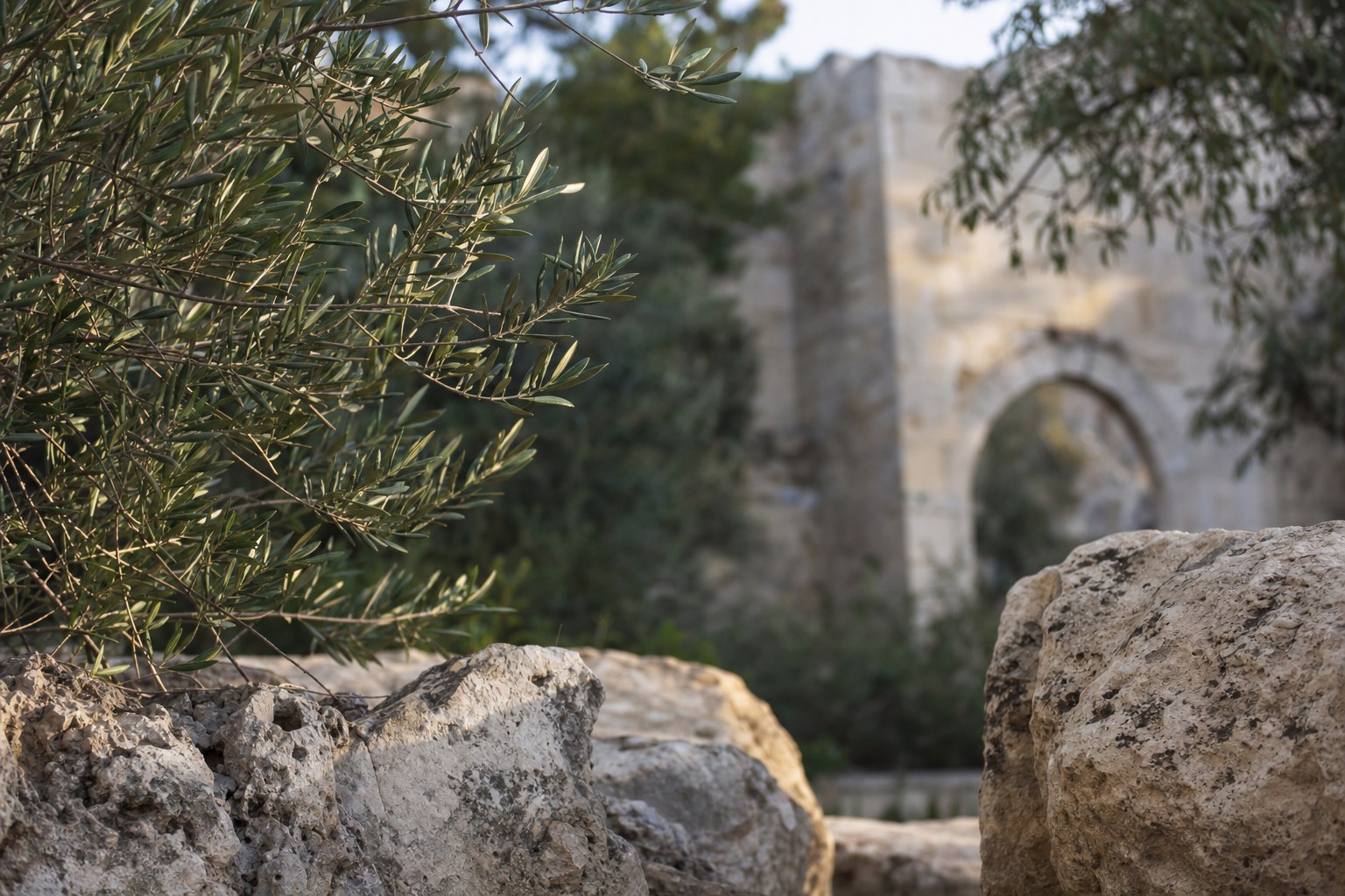 Olive branches beside an ancient stone arch
