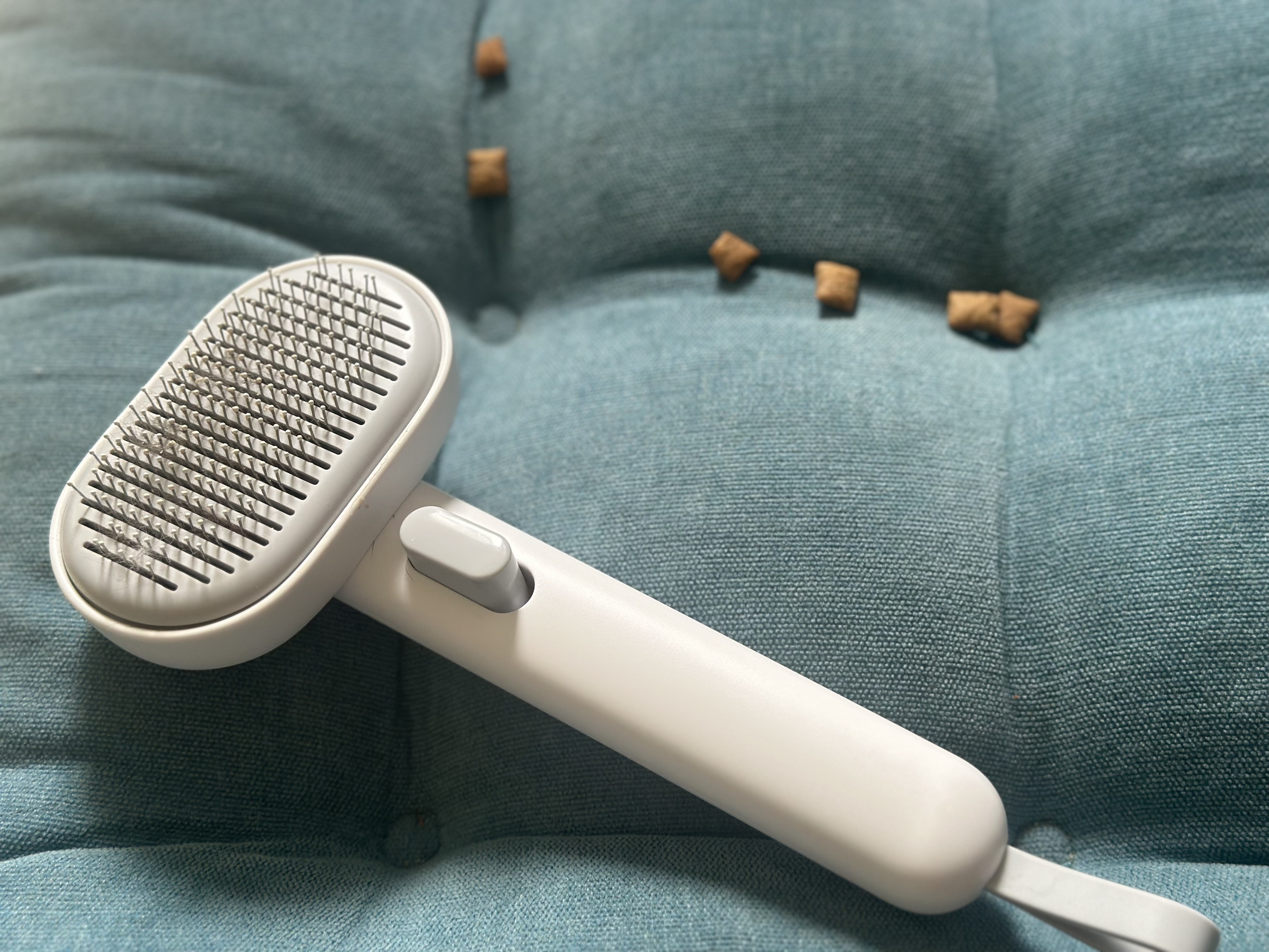 A grooming brush and small treat rewards on a teal cushion