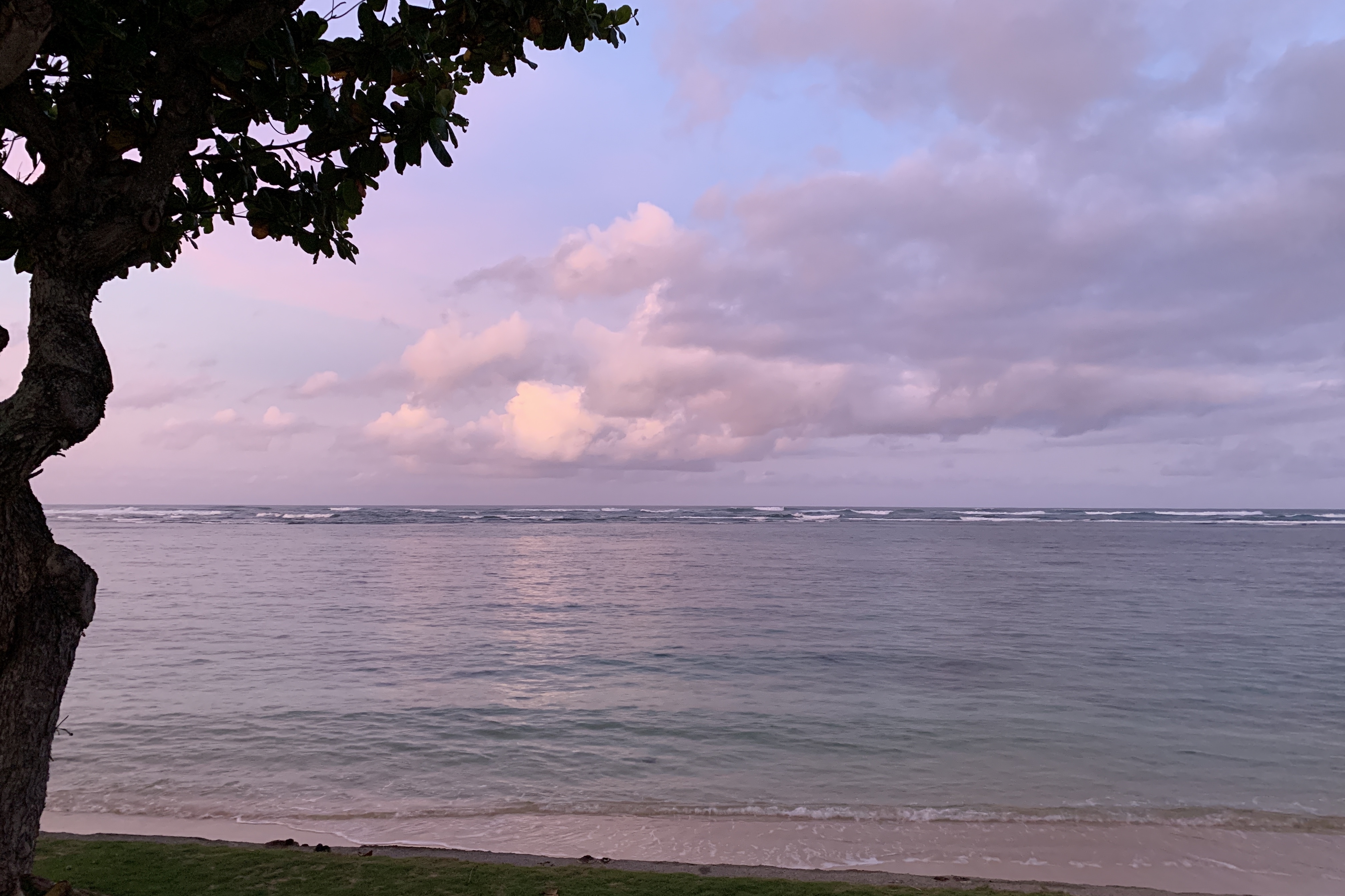A calm ocean at dusk beneath pink clouds