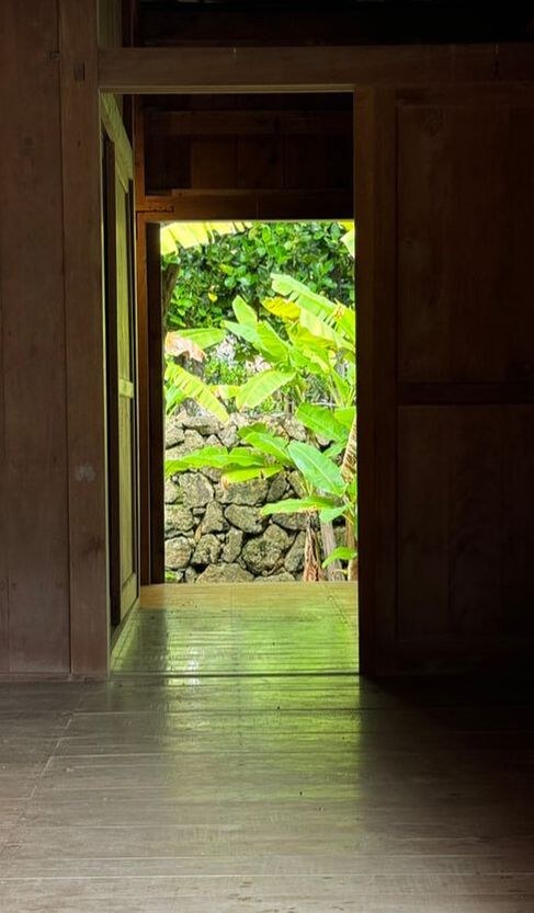 View through a wooden doorway to lush green banana plants outside.