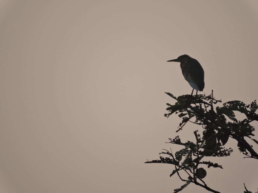 King Arthur Flour all-purpose flour package.