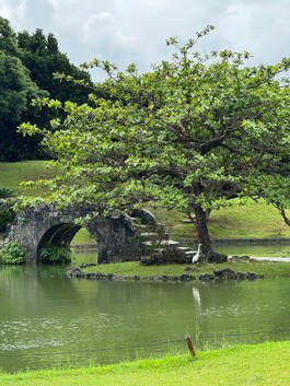 A peaceful stone bridge over a calm pond with a leafy tree nearby.