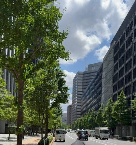 Urban street lined with trees and modern buildings under a partly cloudy sky.