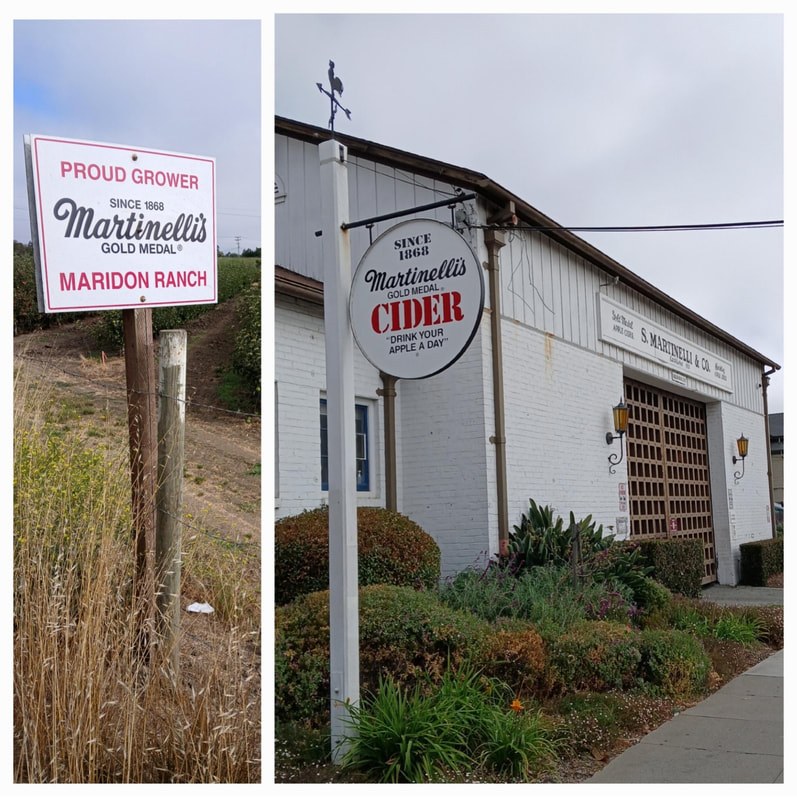 Sign and building for Madison Meadery in a rural setting.