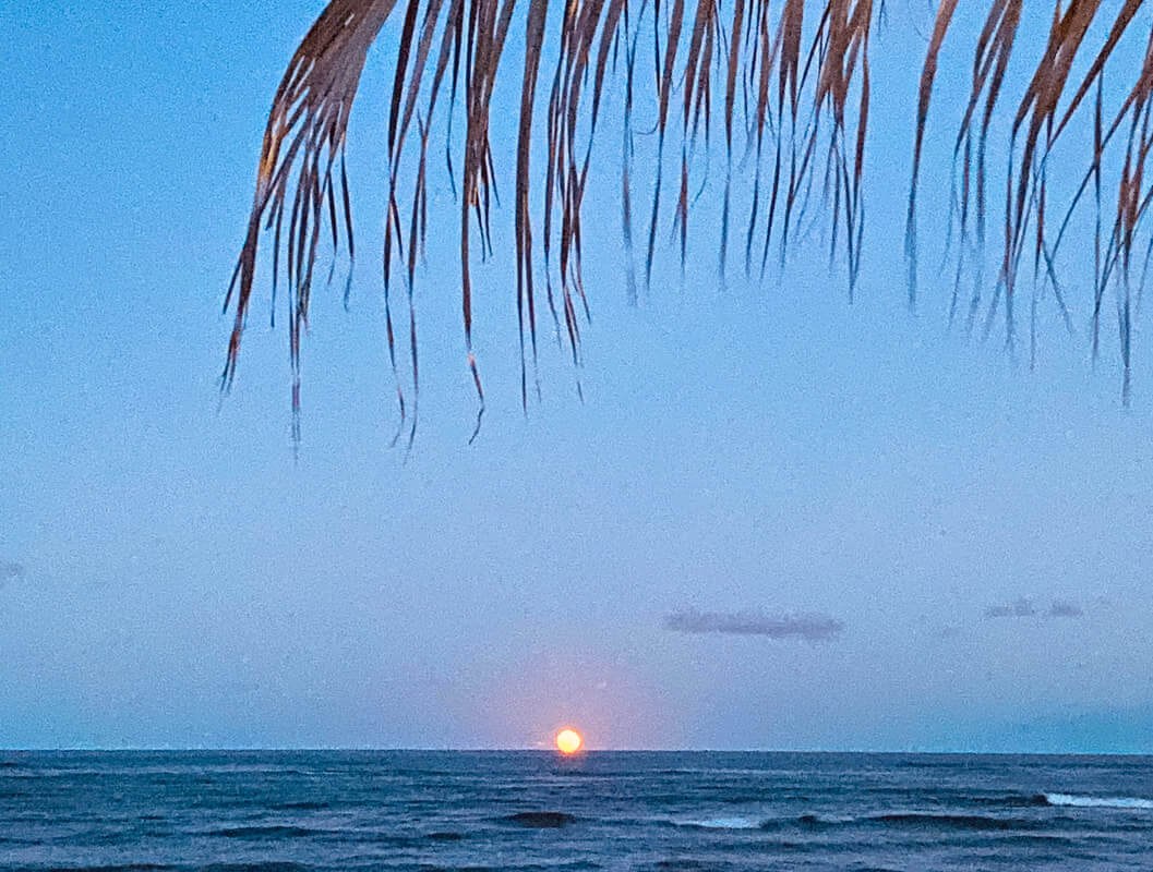 Sunset over the ocean with palm fronds framing the sky.
