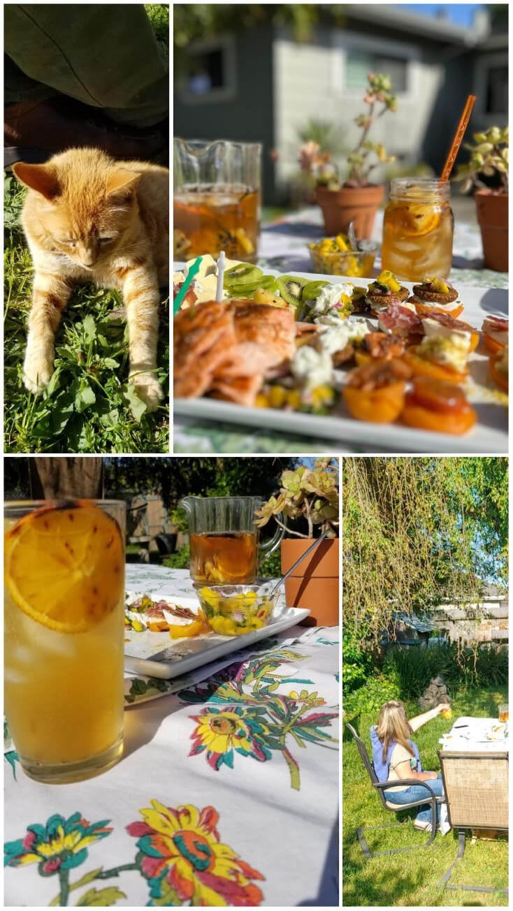 A cat curiously watches a meal on a table set outdoors near a pond.