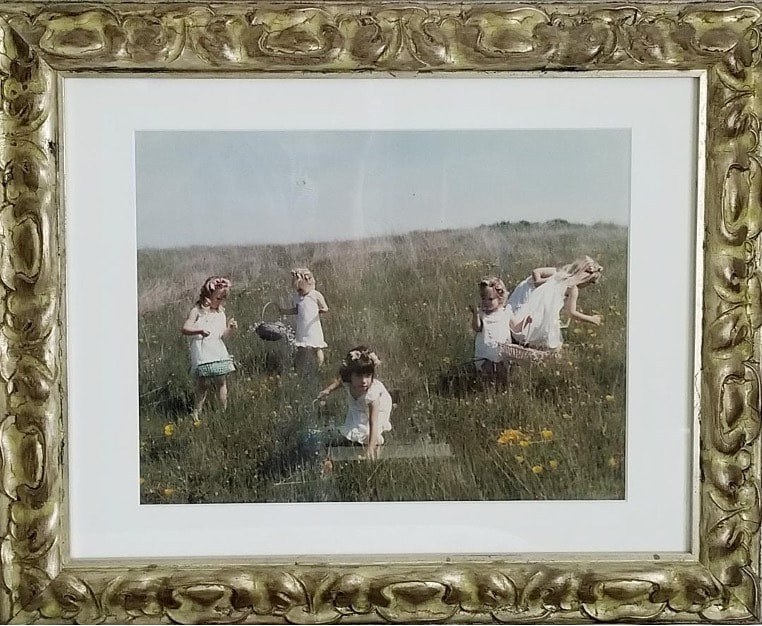Children playing in a grassy field on a sunny day.