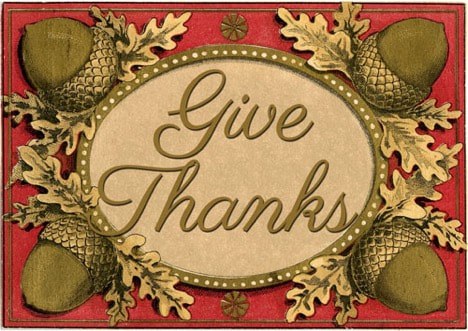 Decorative plaque with the phrase 'Give Thanks' and golden pinecones.
