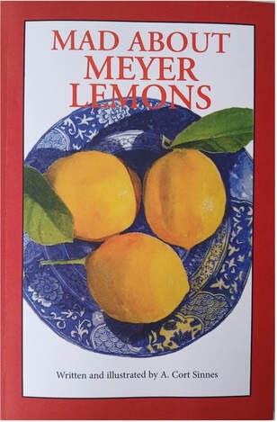 Three Meyer lemons on a blue patterned plate with a red border.