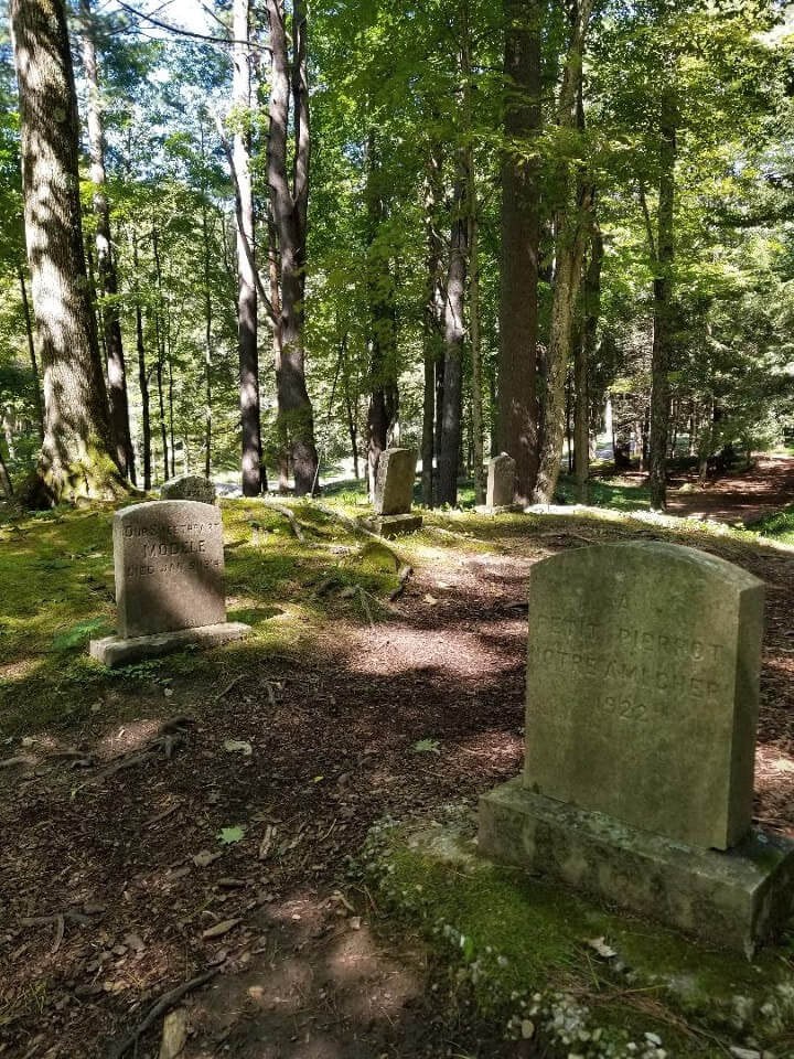 A peaceful old cemetery surrounded by tall trees and sunlight.