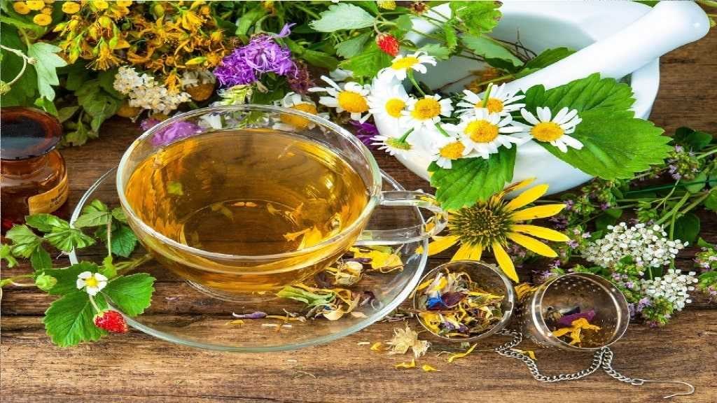 A cup of herbal tea surrounded by fresh flowers and herbs.
