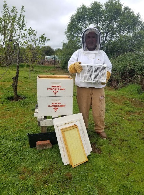 A beekeeper in protective gear holding a honeycomb frame near beehives in a green garden.