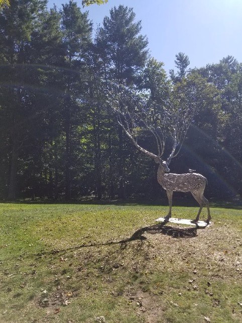 A deer statue stands on a grassy patch with trees in the background.