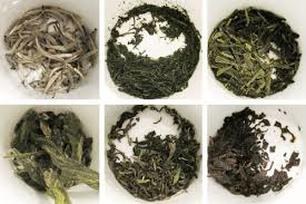 Various types of dried tea leaves arranged in circular patterns.