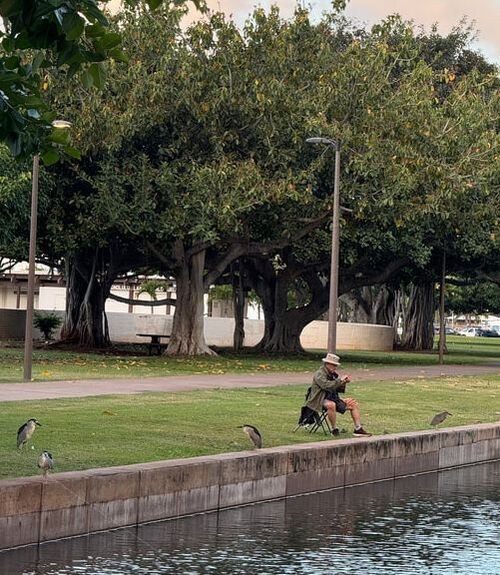 A person sitting by the water with a fishing rod.