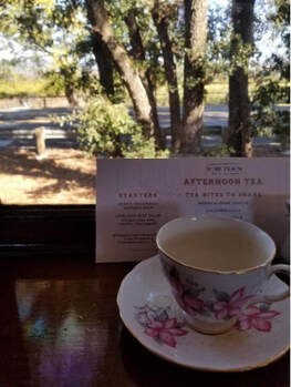 A cup of Earl Grey tea on a floral saucer by a window with trees outside.