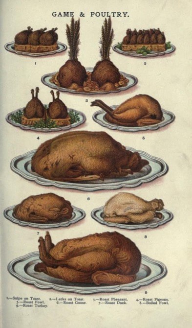 Illustration of various roasted birds on plates.