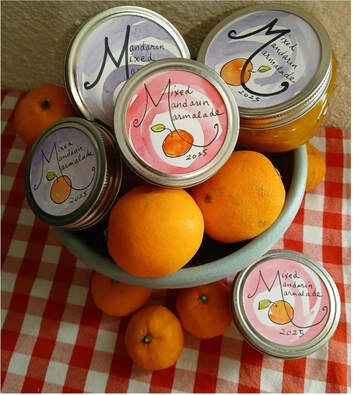 Jars of marmalade with fresh oranges on a checkered tablecloth.