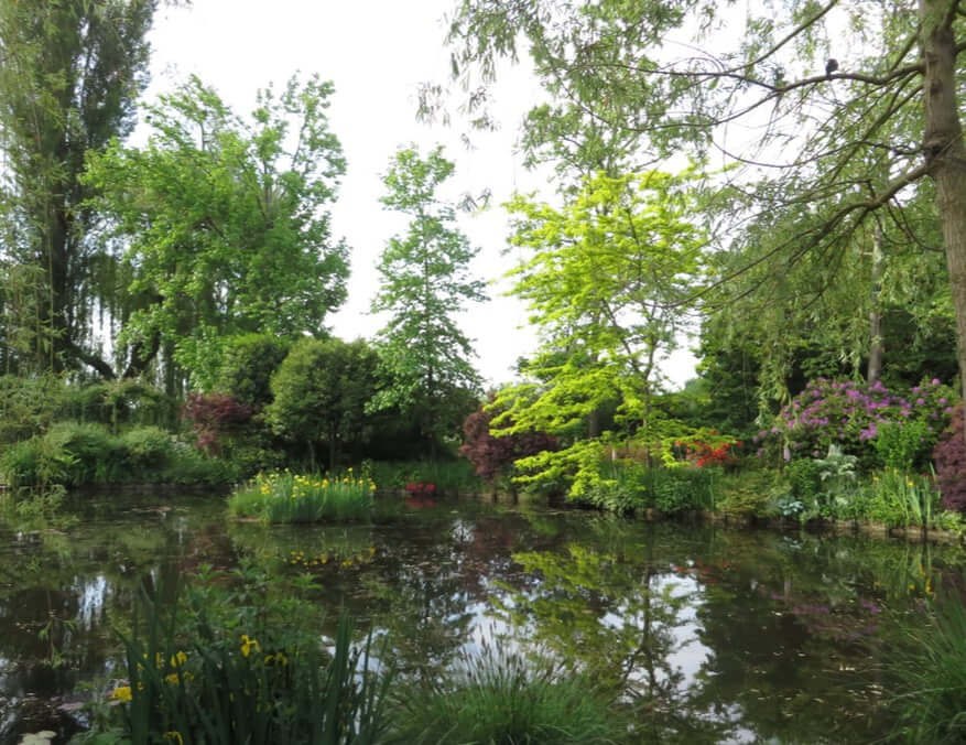 A serene pond surrounded by lush green trees and bushes under a clear sky.