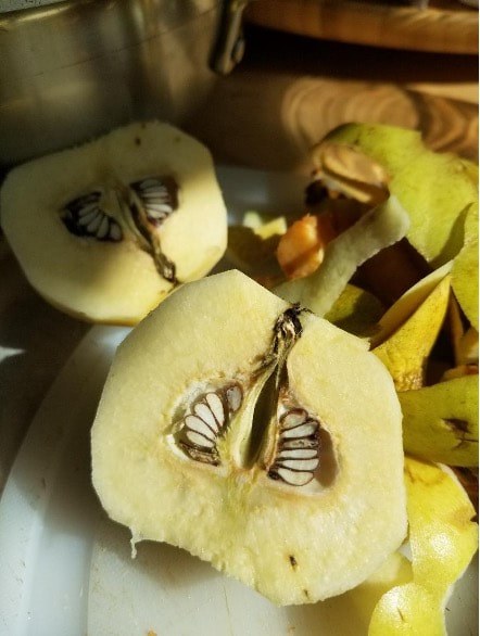 Close-up of halved quince fruit with seeds and autumn leaves.