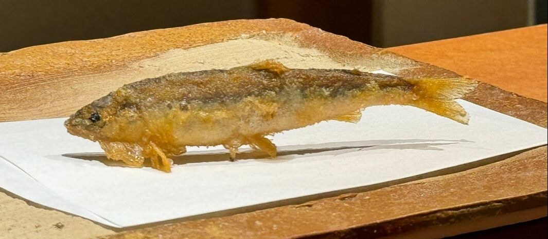A small fried fish served on a white napkin.