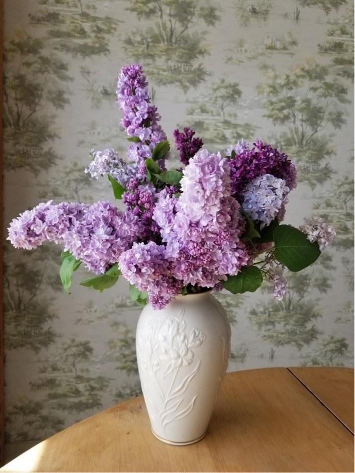 Vase with purple and lilac flowers.