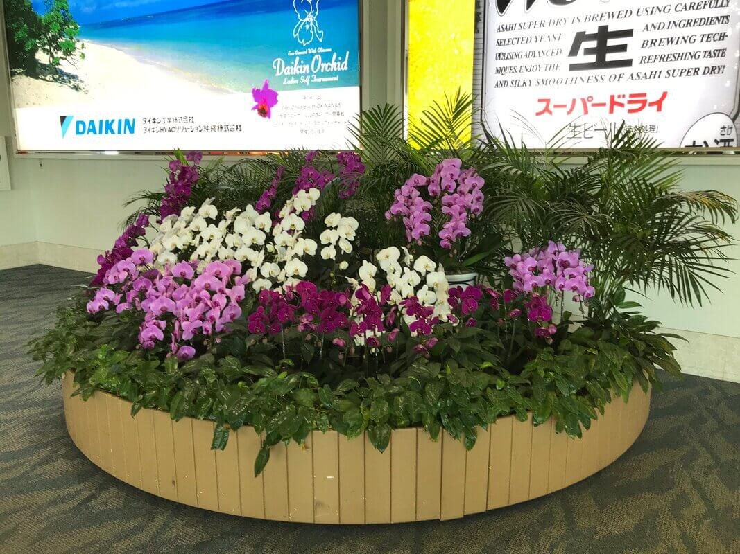 Colorful flowerbed with white and purple blooms in a circular planter.