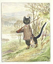 Cat in clothes walking with a dog on a countryside path.
