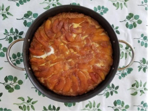 A round apricot tart with a golden crust in a baking pan.