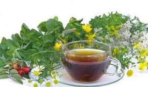 A glass cup of herbal tea surrounded by fresh green leaves and yellow flowers.