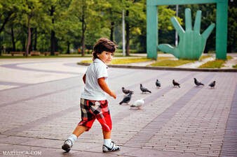 Young child chasing pigeons in a park on a sunny day.