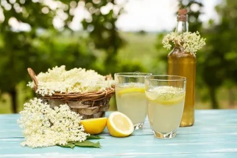 Two glasses of lemonade with lemon and flowers on a rustic table outdoors.