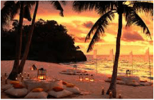 Sunset beach with lanterns and palm trees creating a romantic ambiance.