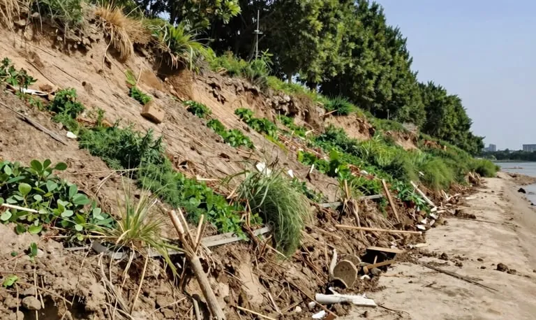 Shoreline & Slope Stabilization