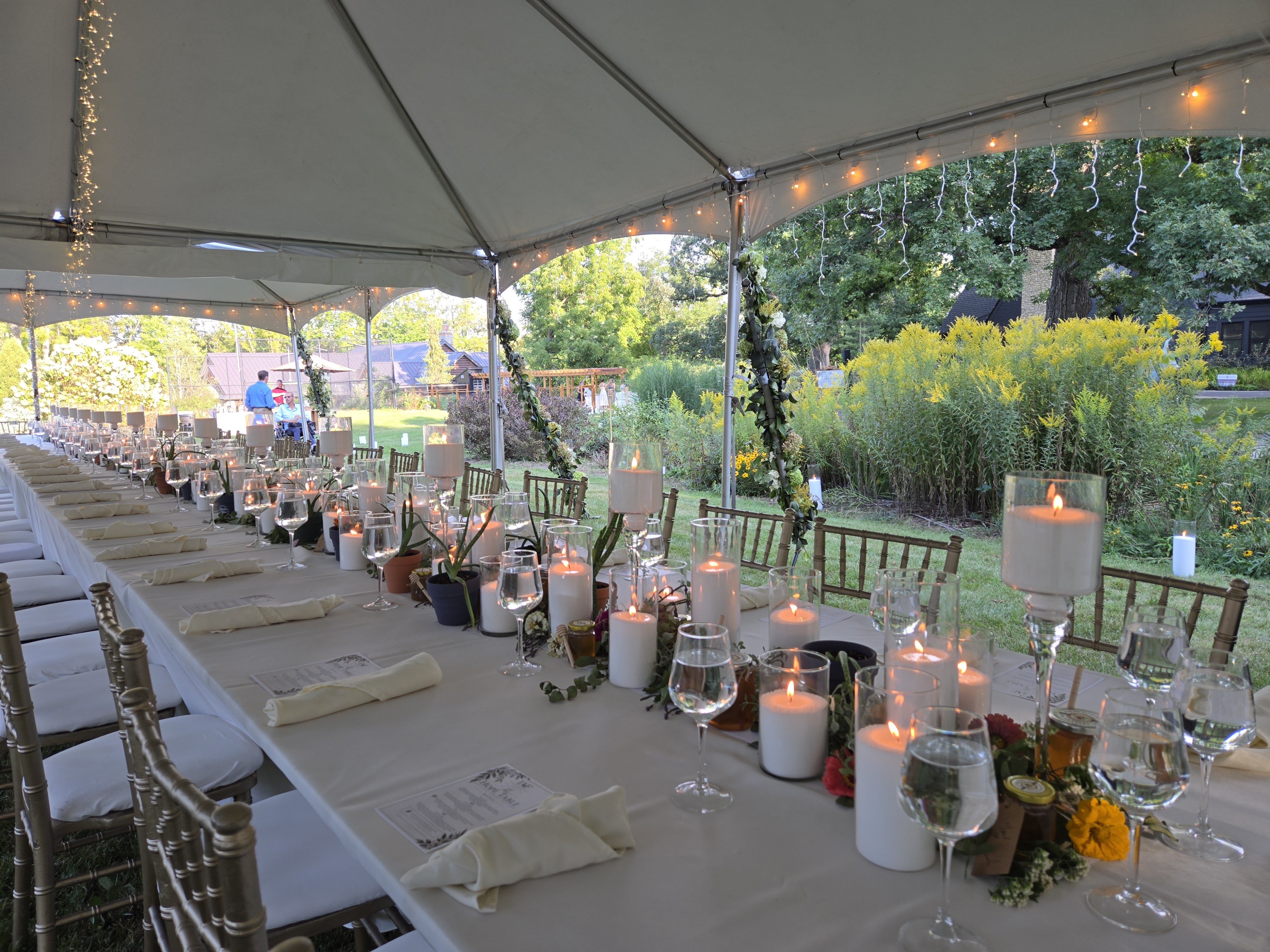 Garden View from Table