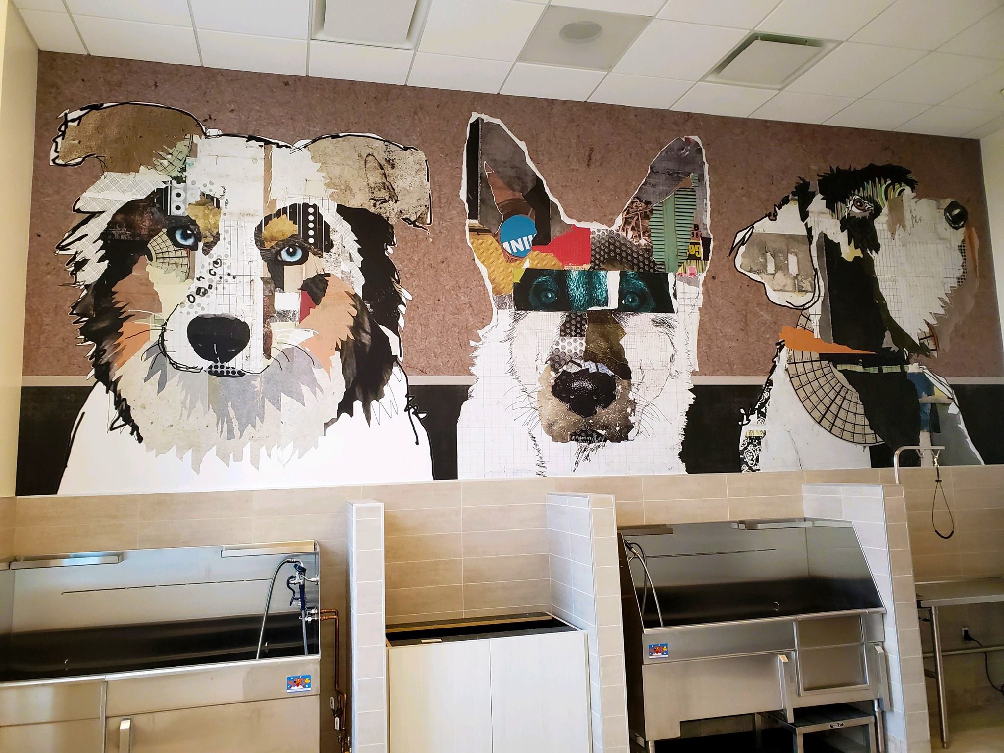 Michel Keck dog mural installed at a Colorado dog spa