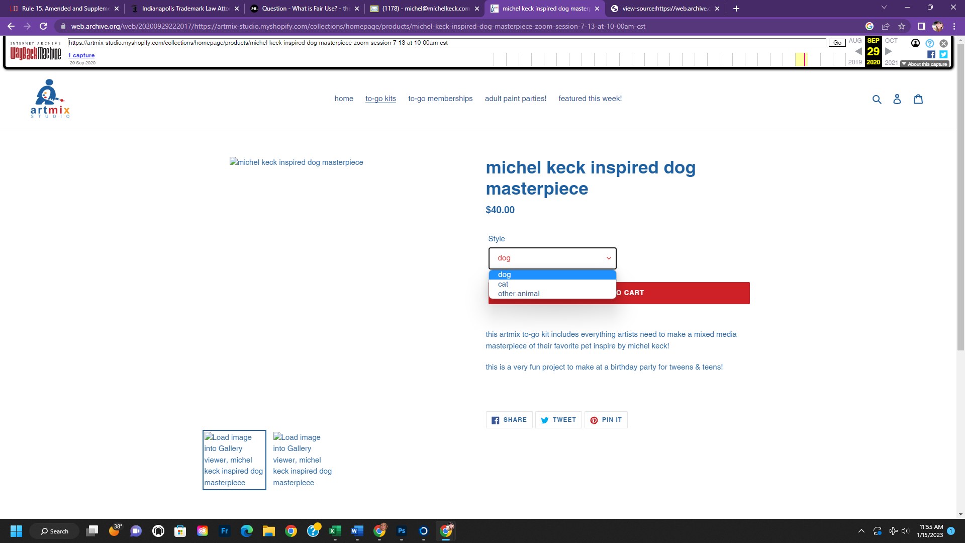 Screenshot of an online listing for a Michel Keck inspired dog masterpiece art kit priced at $40, showing a dropdown menu with style options dog, cat, and other animal on a white webpage with minimal design.
