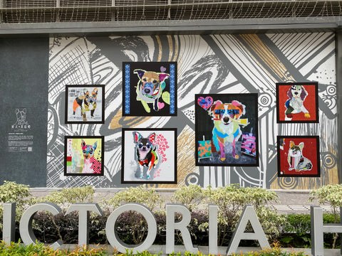 A vibrant outdoor wall mural by Michel Keck featuring six colorful dog portraits in varied abstract styles, framed in black against a large background of dynamic black, white, and gold swirling patterns, with greenery and large letters in front.