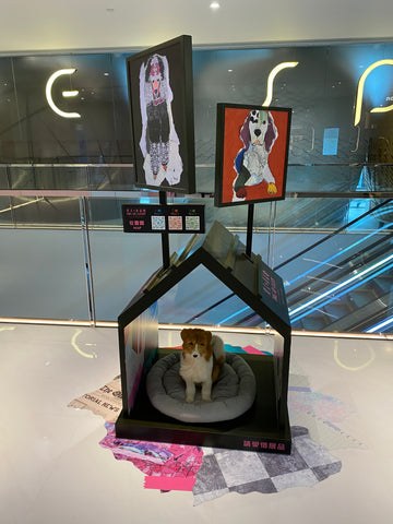 A mixed-media dog art installation by Michel Keck features a small dog sitting on a gray cushion inside a black, house-shaped frame. Above, two colorful dog portraits are mounted on poles, set against a modern glass and metal interior.