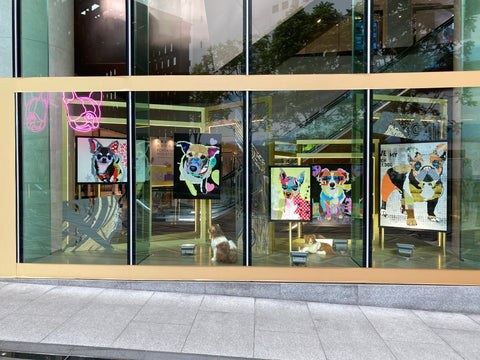 Exterior view of a glass-fronted gallery displaying colorful dog art by Michel Keck, featuring four vibrant, stylized dog portraits with bold shapes and bright contrasting colors inside a modern building.